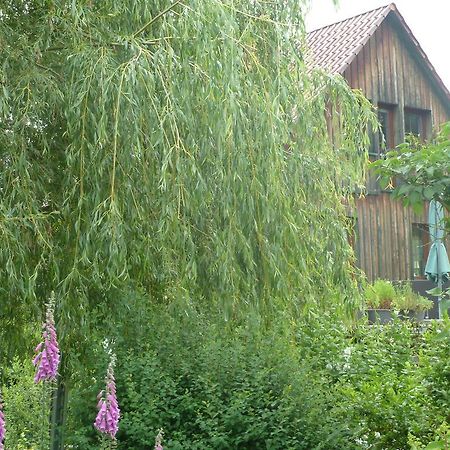 Ferienwohnung Lotti Brotterode Szoba fotó